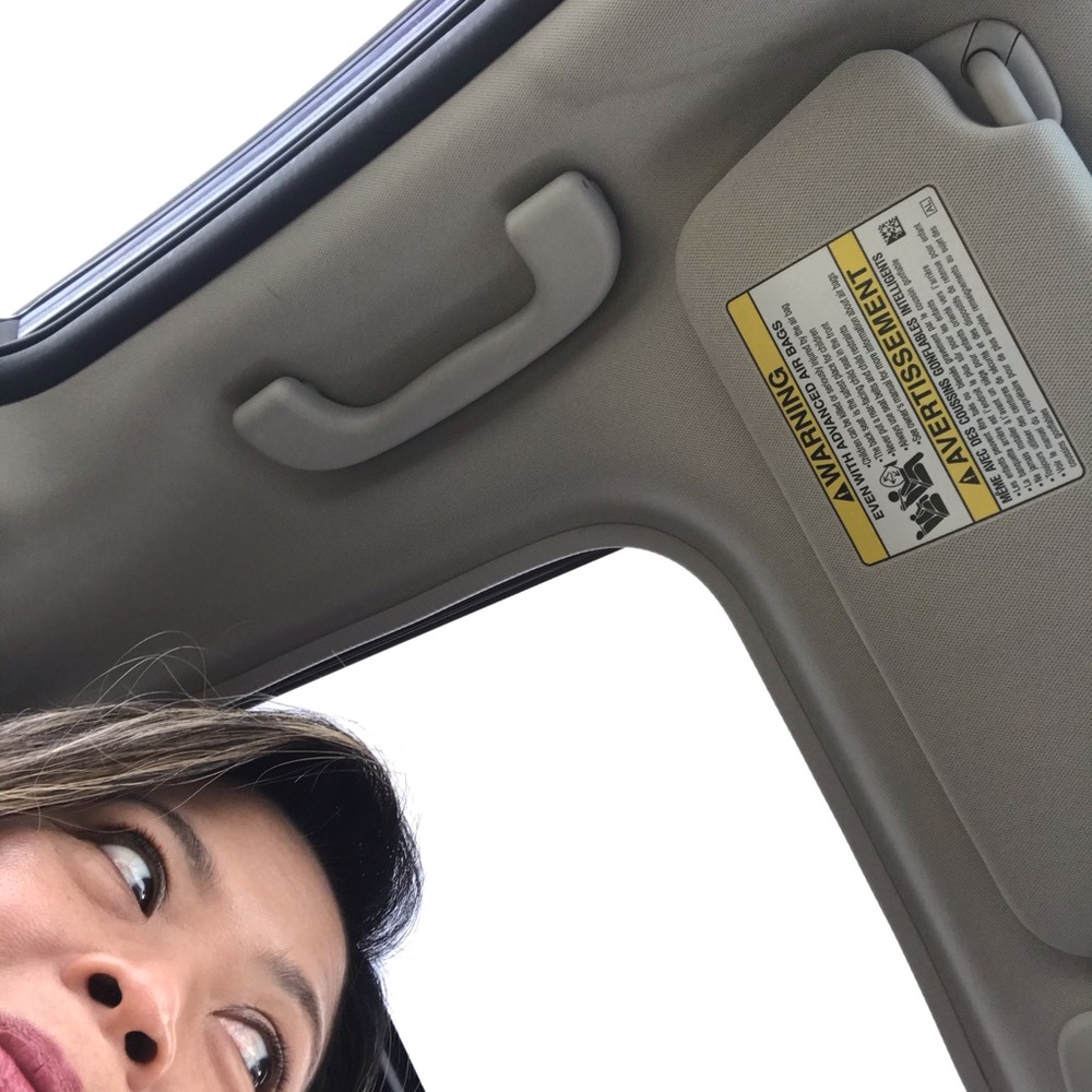 Meet your Posher, Geraldine